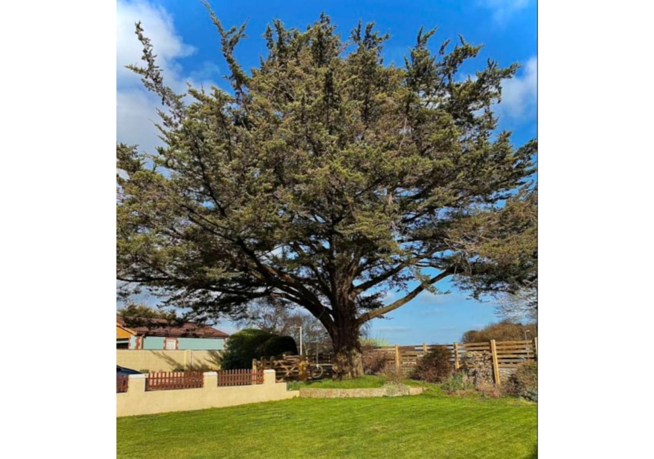 Holiday home Briarfield - Adorable 1 Bedroom Seaside Apartment, On-site Parking